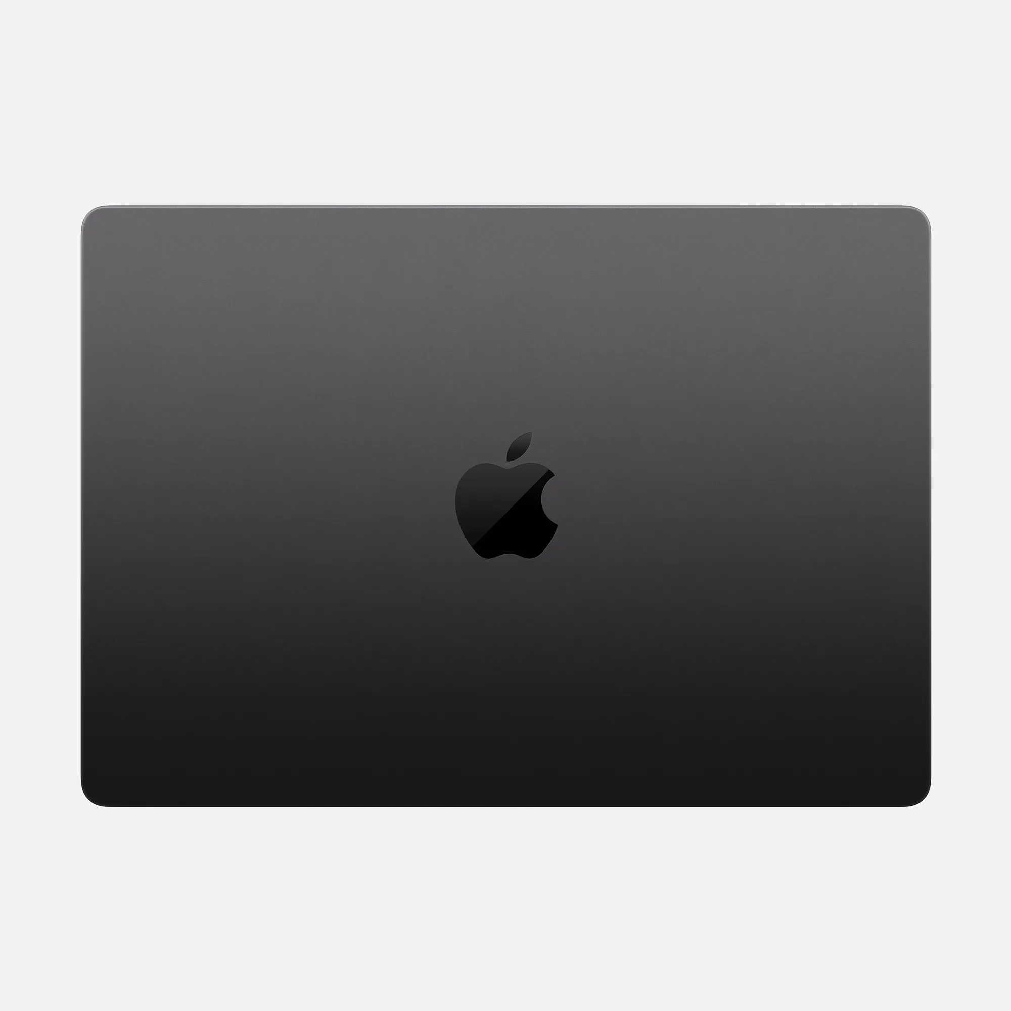 Performance and Daily Use