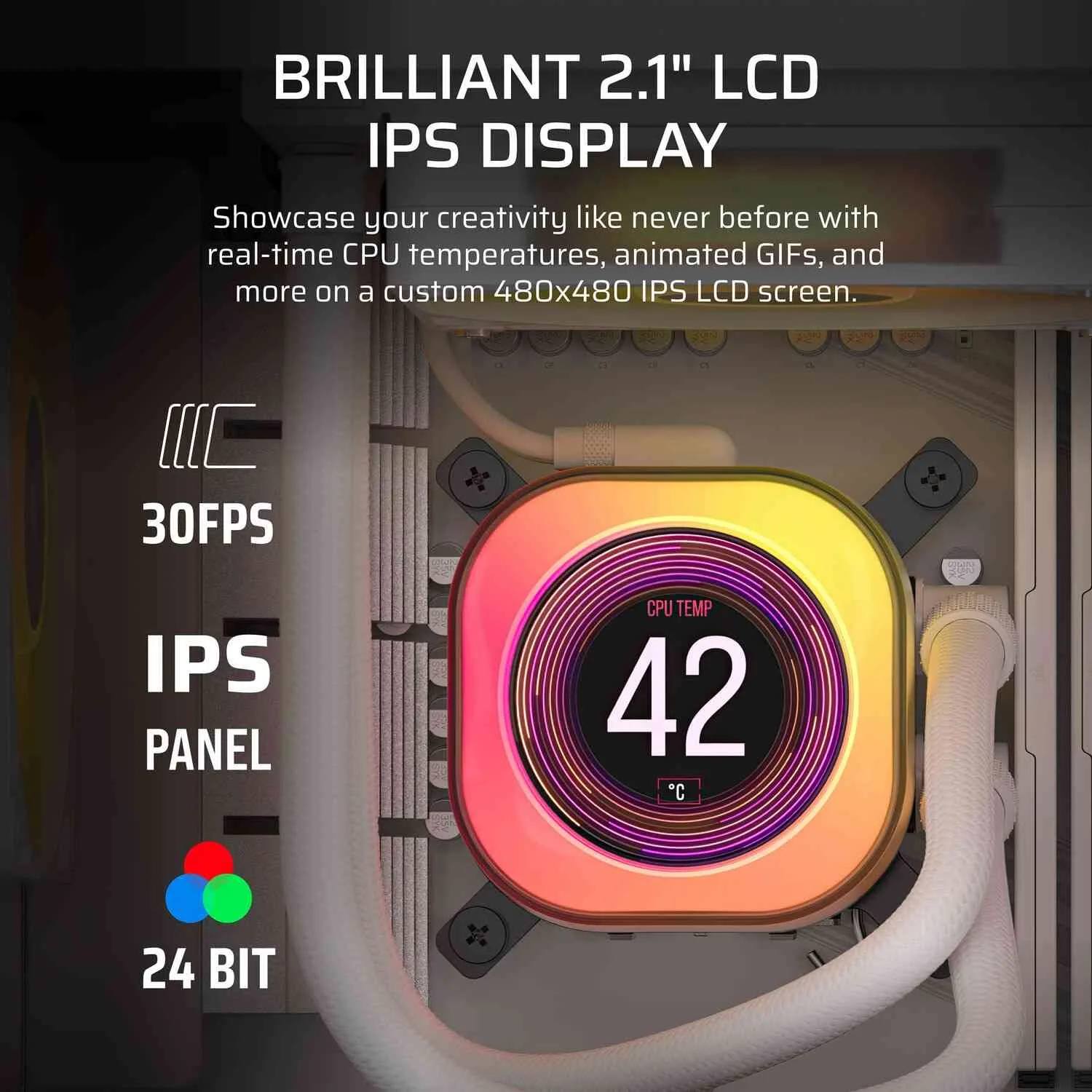 Performance and Daily Use