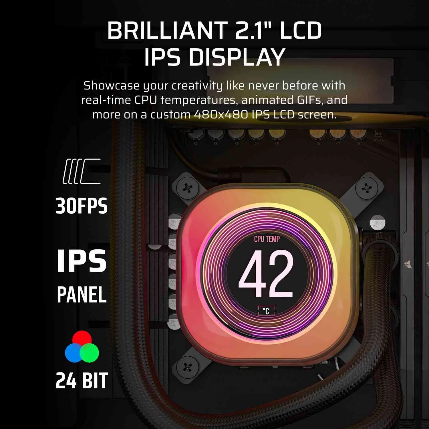 Performance and Daily Use