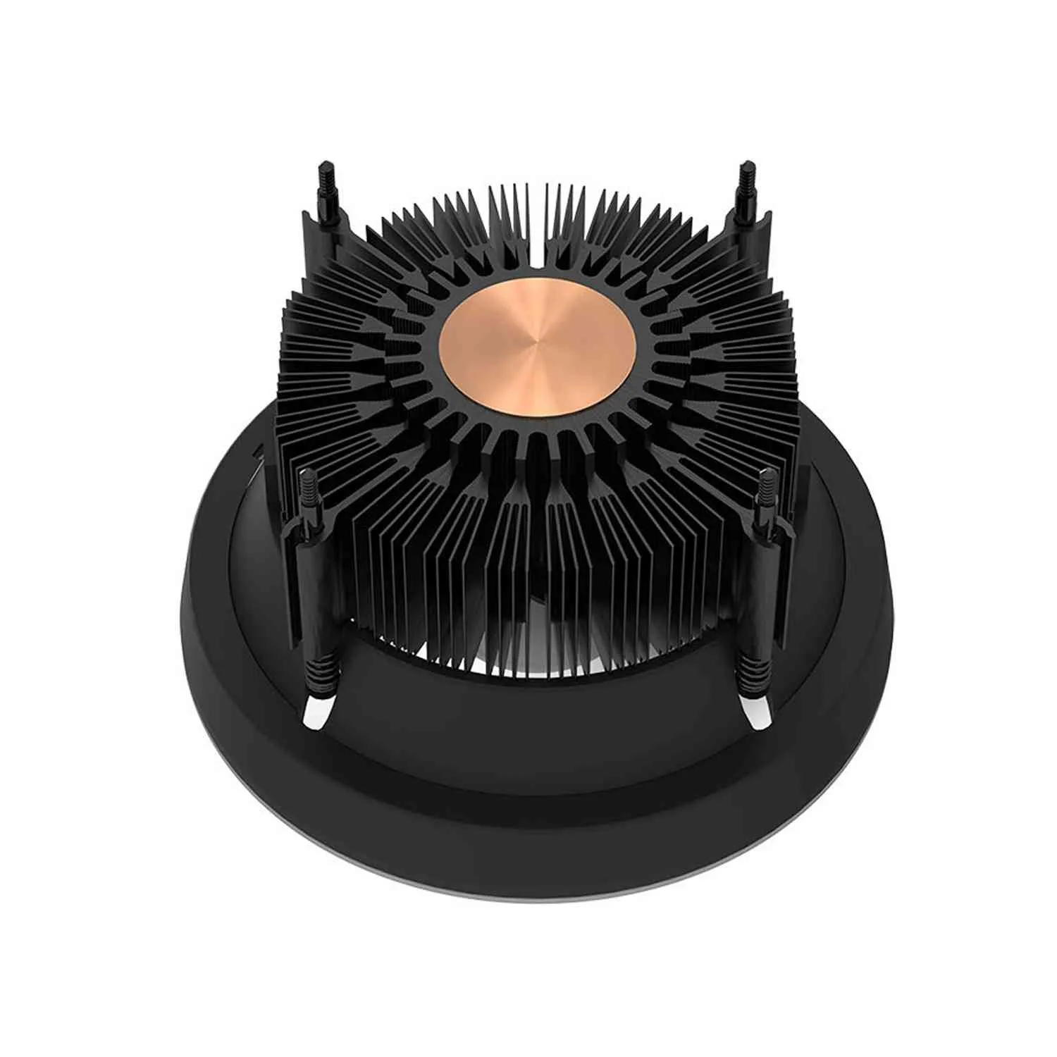 Performance and Daily Use