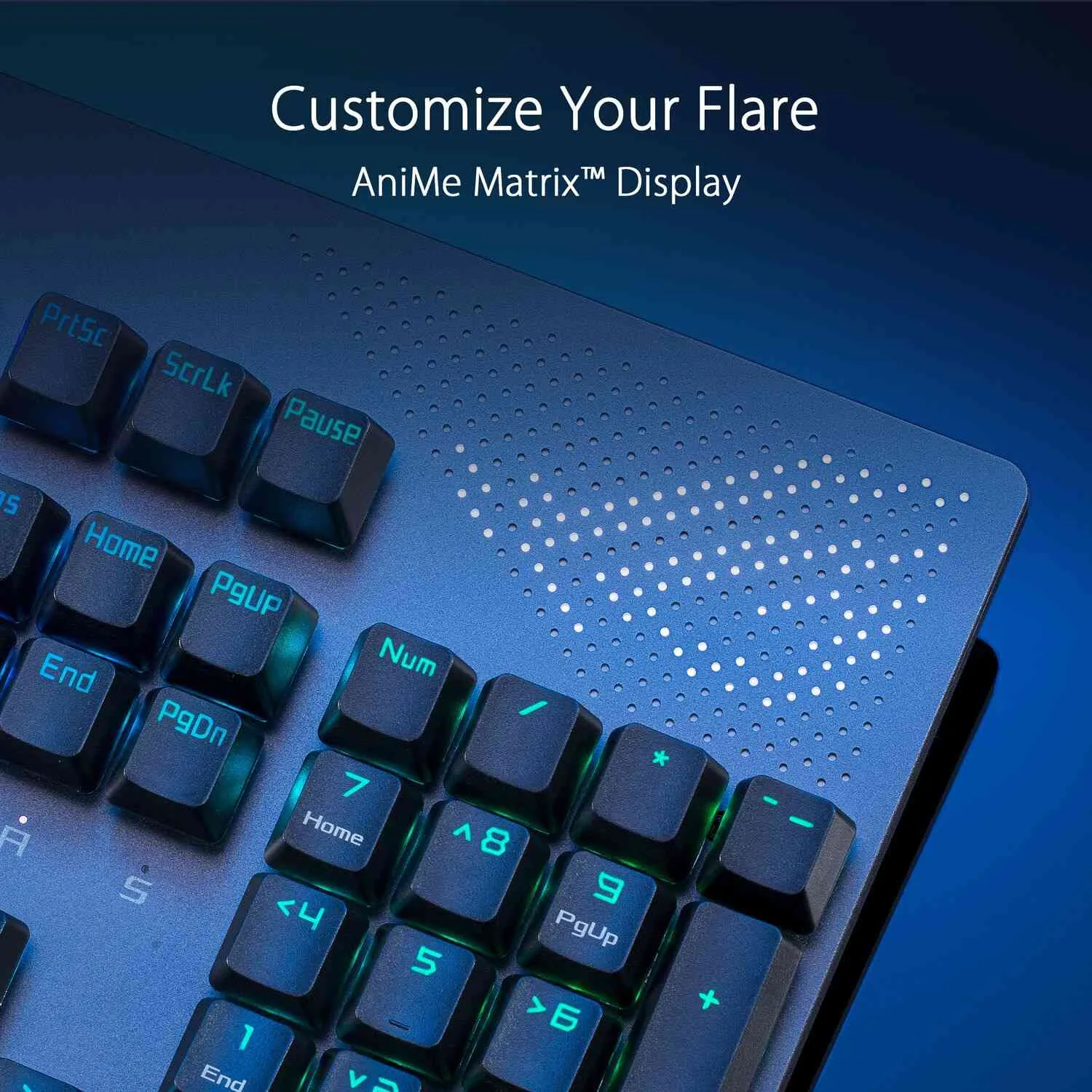 Before You Buy