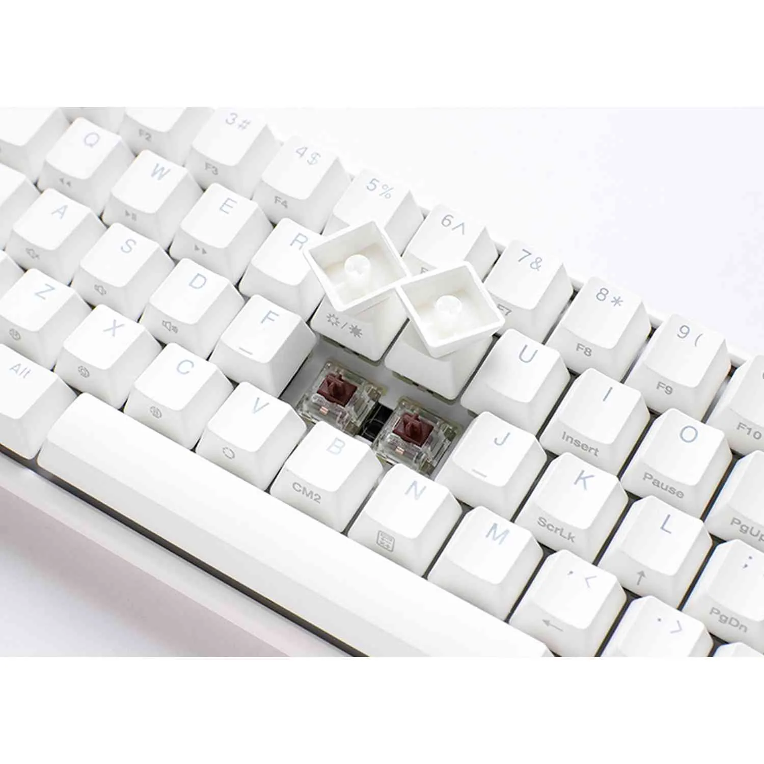 Before You Buy