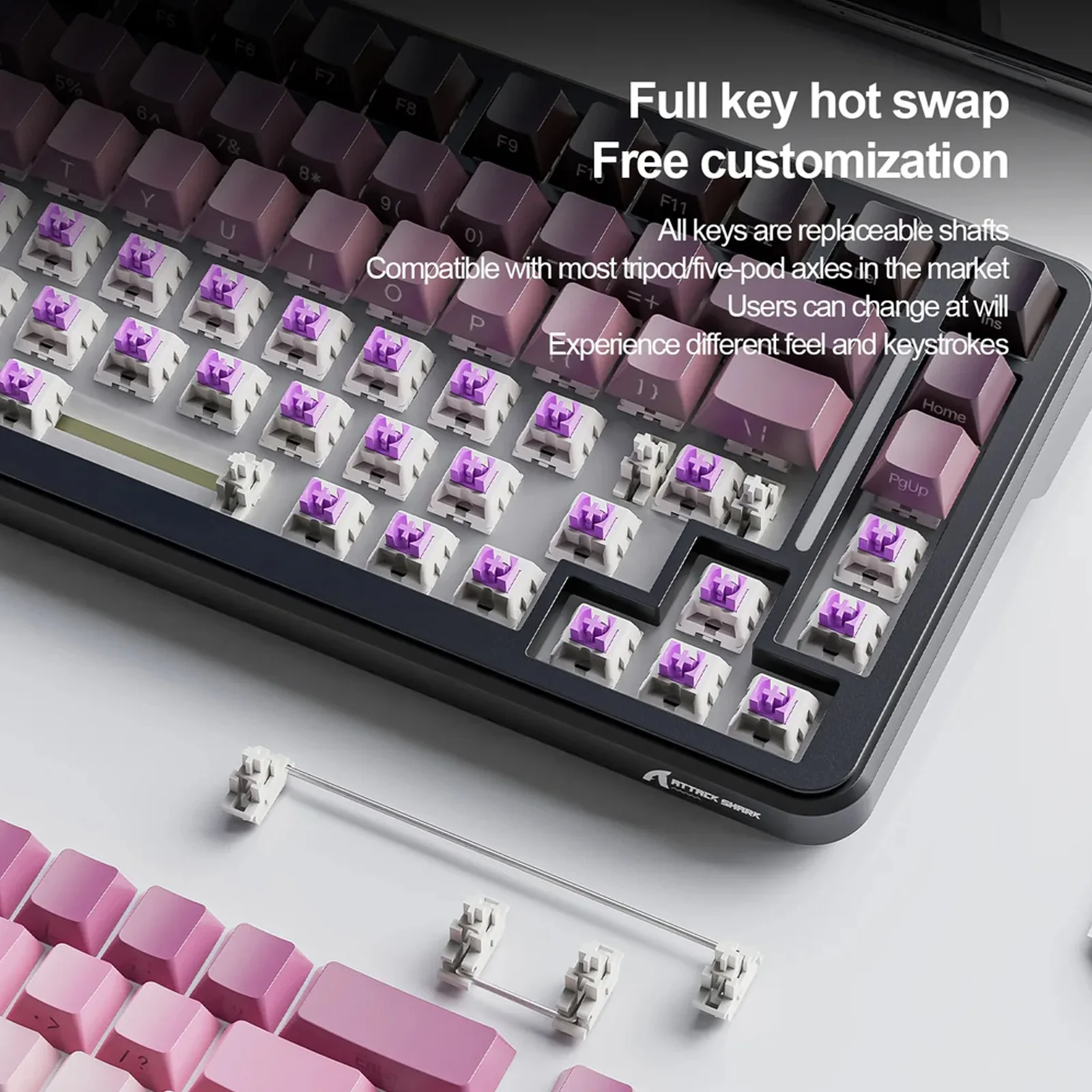 Switch Type and Keyfeel