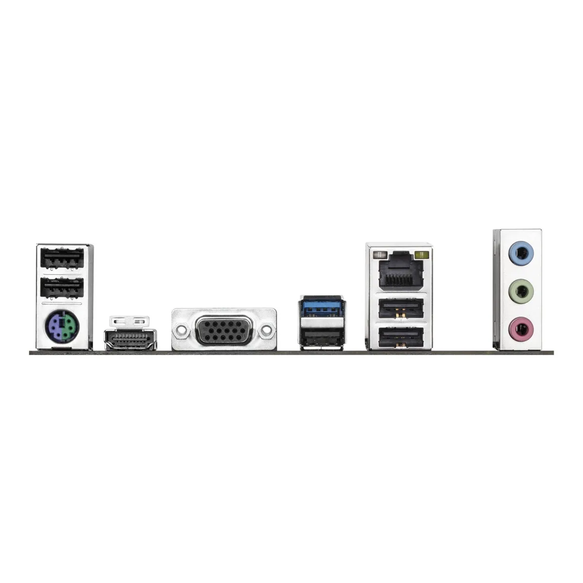 Durability and Special Features